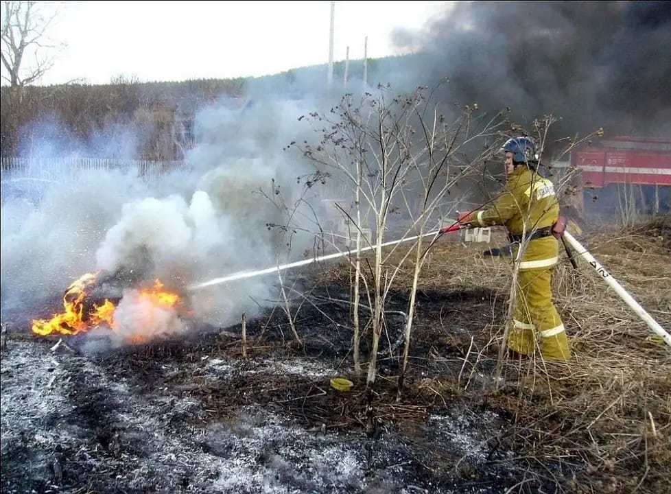 В РТ с начала 2021 года возбудили 598 административных дел по фактам природных пожаров